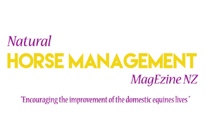 All About Horses & Waitoru Farm