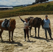  All About Horses & Waitoru Farm
